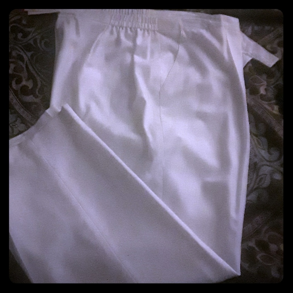 Joan Leslie casual Petite Dress pants